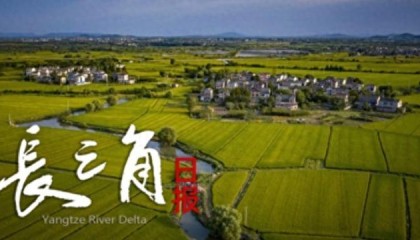 游戏规则模拟器-“苏超”赛场“气晕”的小恐龙有IP文创了