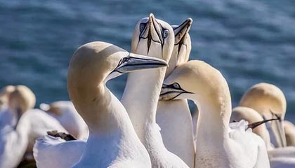 华体会体育——点燃你的运动激情，享受无限精彩