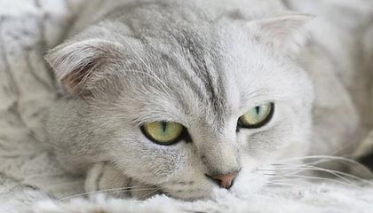 华体会体育——点燃你的运动激情，享受无限精彩