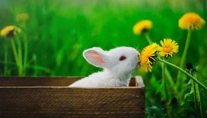 华体会体育——点燃你的运动激情，享受无限精彩